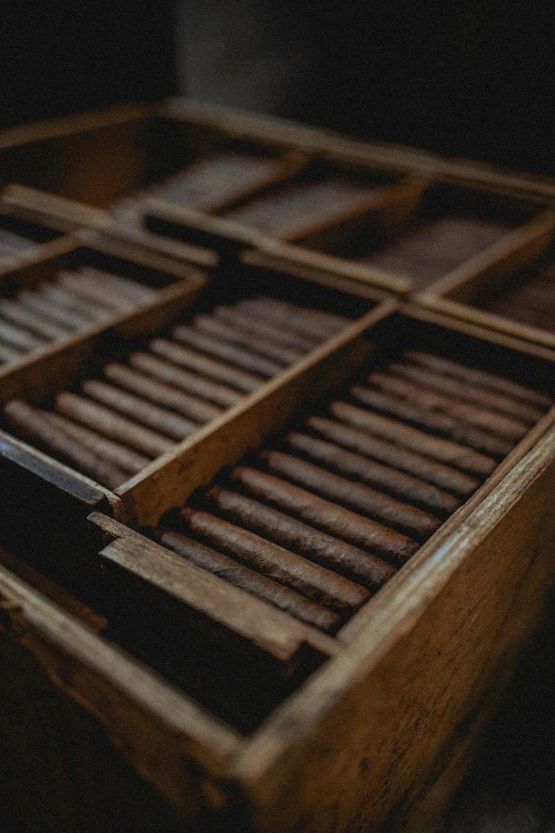 Humidor ou boîte à cigare : lequel choisir et pourquoi ?